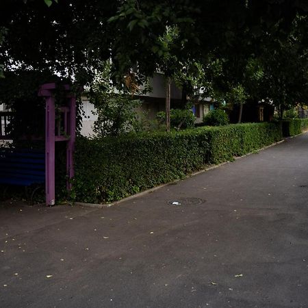 Modern 1 Bedroom Apartment In Bucharest Center! Eksteriør billede